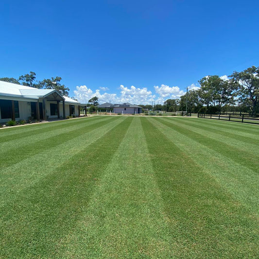 When to Fertilise Your Lawn in Australia: My Comprehensive Guide